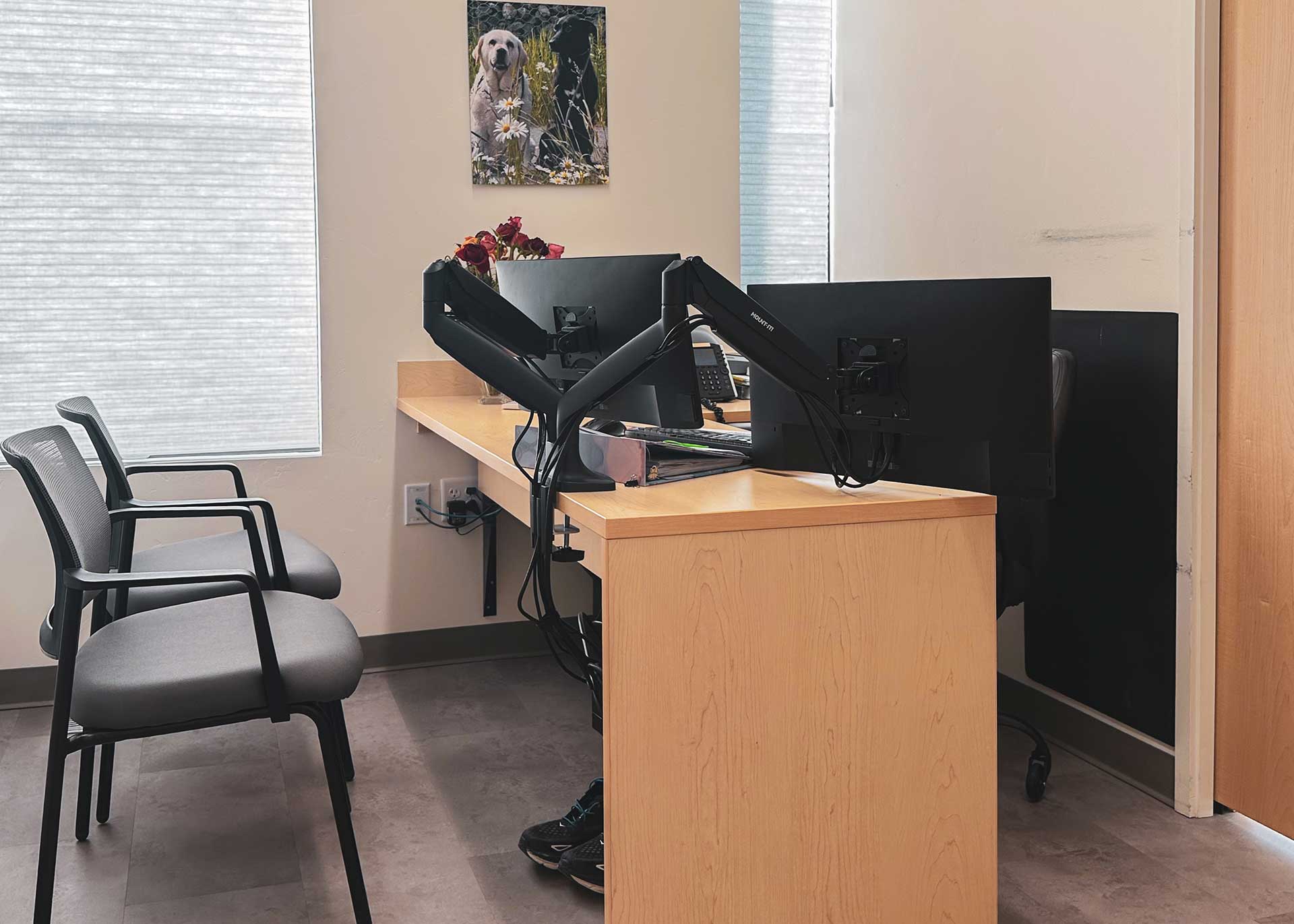 chugach dental team anchorage ak